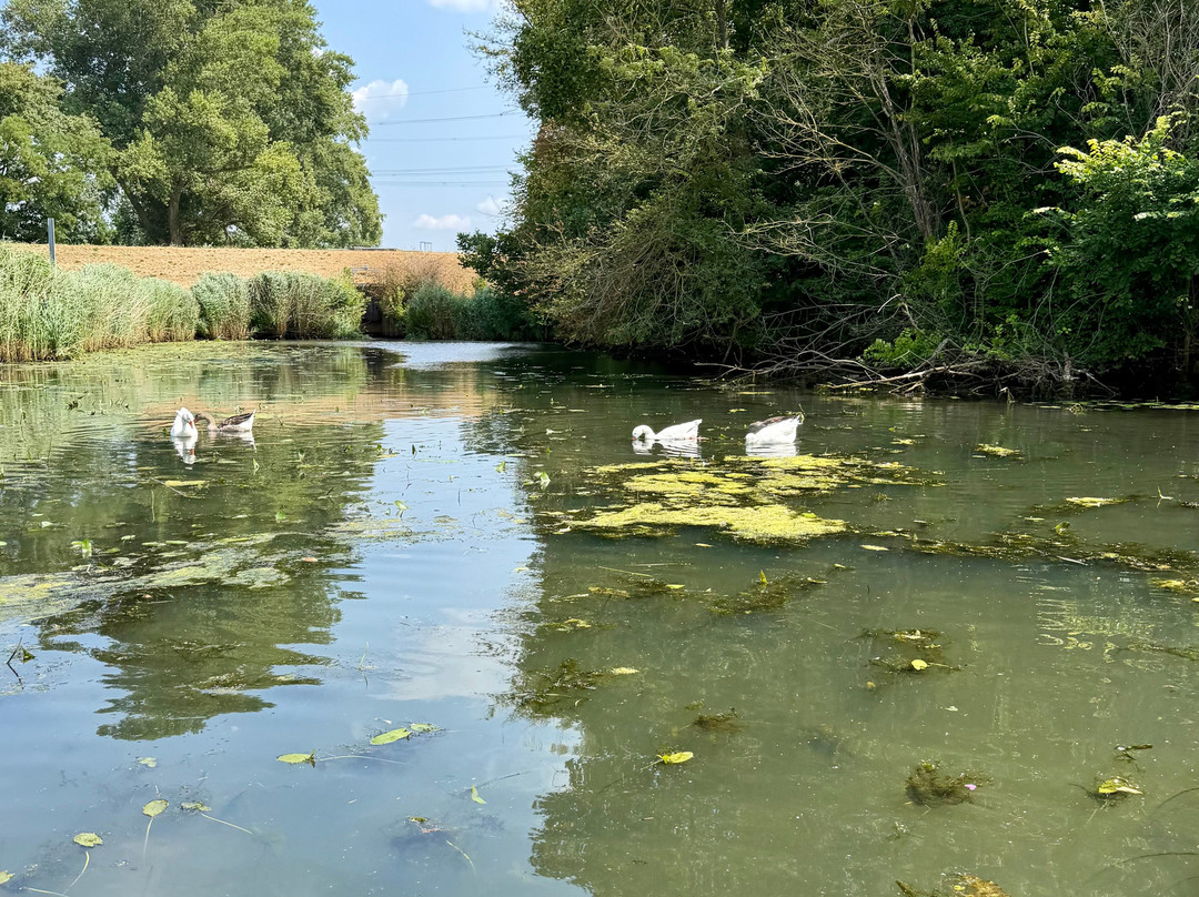 National Park De Biesbosch-Drimmelen必去景点