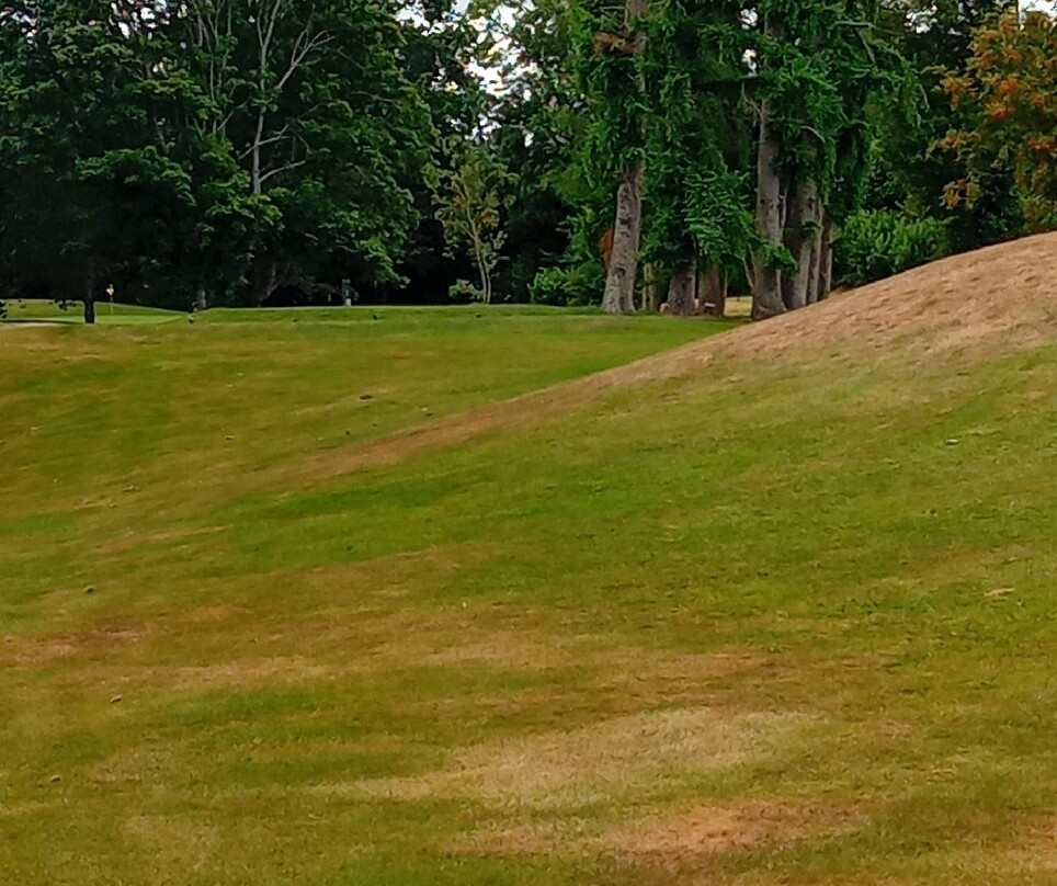 Warrenpoint Golf course-Warrenpoint必去景点