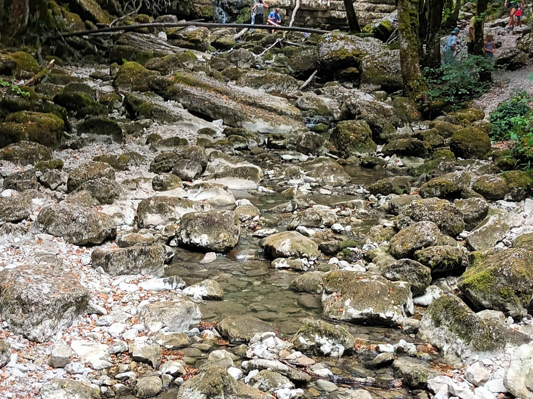 Les Cascades du Herisson-Menetrux-en-Joux必去景点
