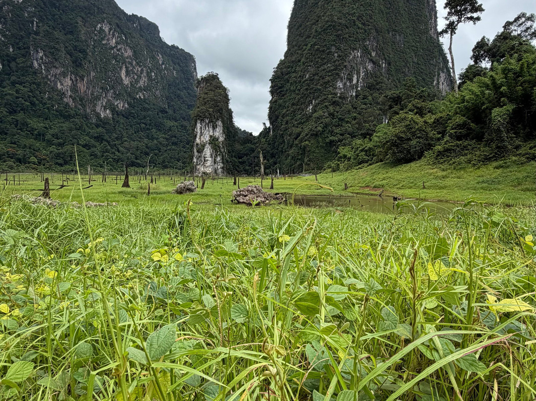 艺术河景旅馆主图