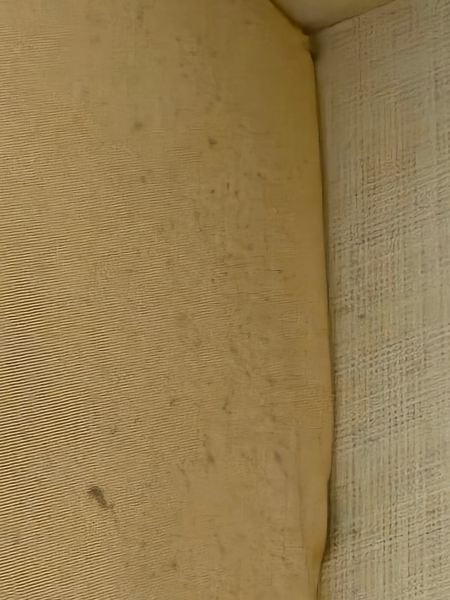 切斯纳特希尔酒店-客卧