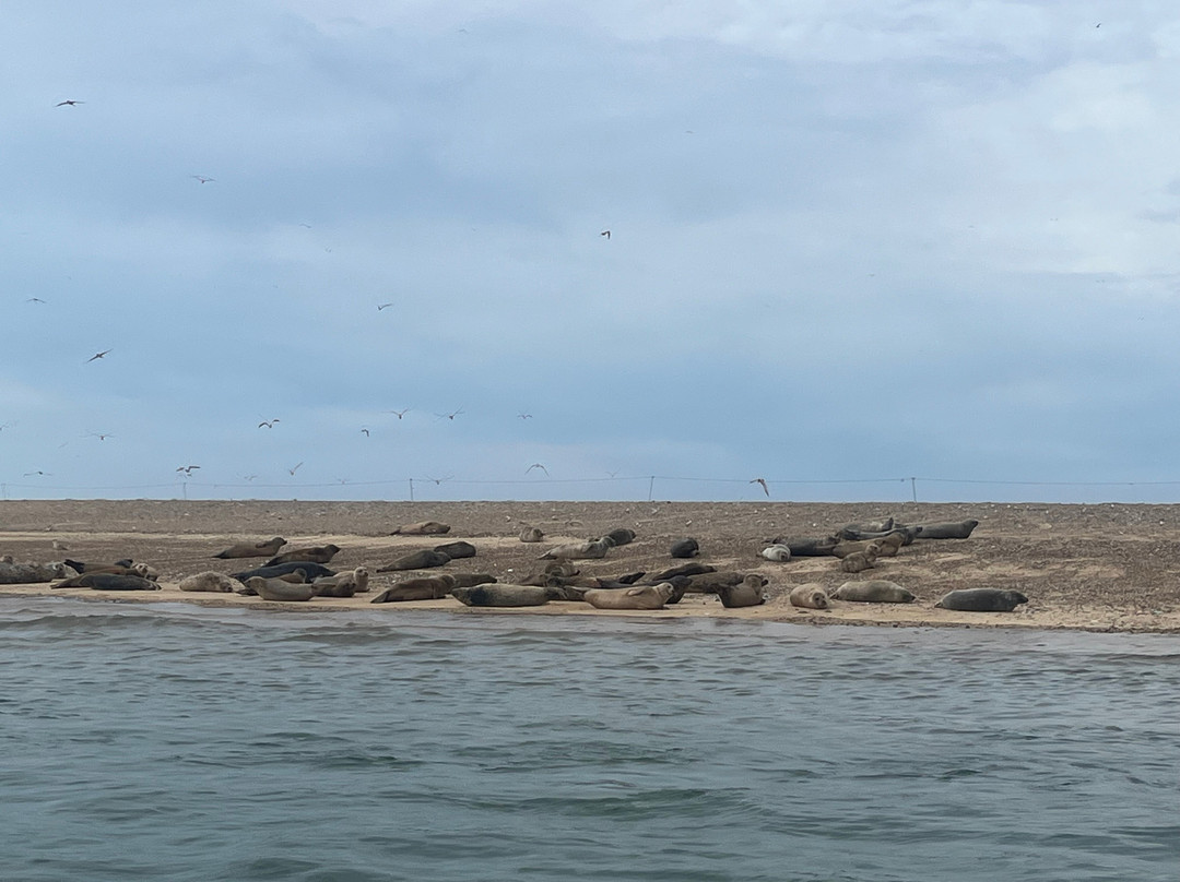 Beans Boat Trips-Morston必去景点