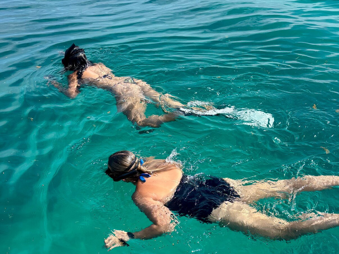 Islander Girl Snorkel &Tours-Tavernier必去景点