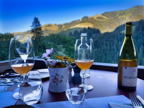 Berghotel Zur Sau-旅行者