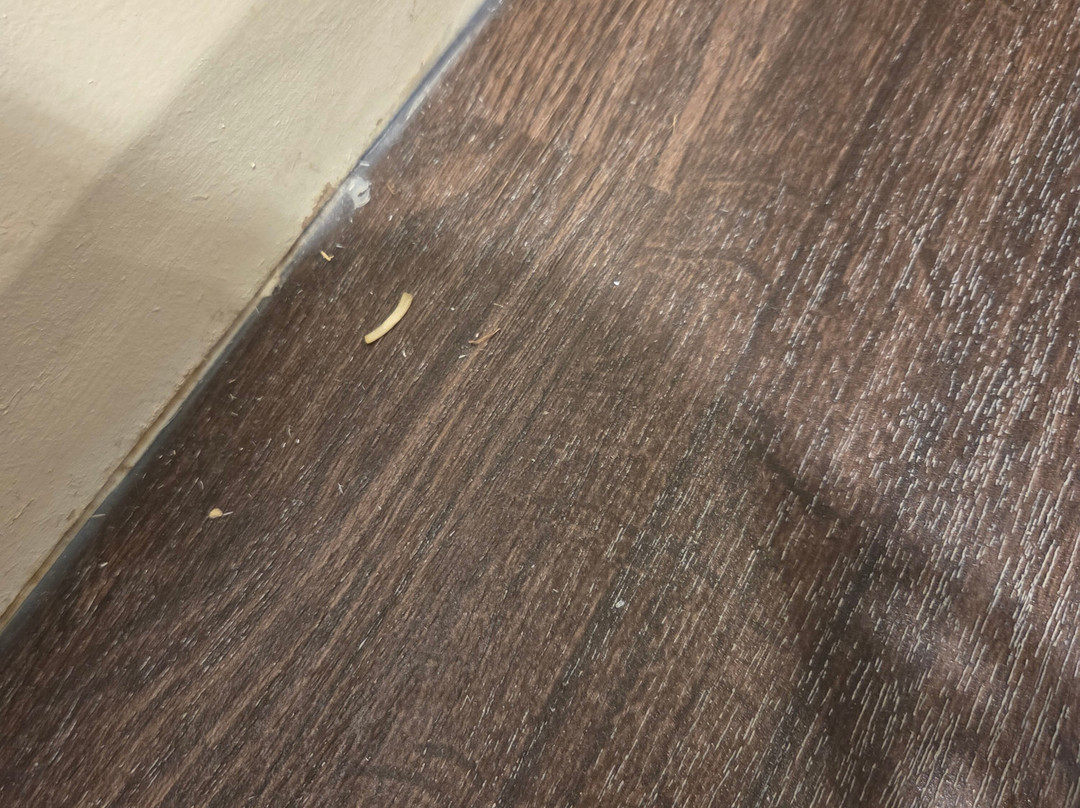 普瑞米尔贝德福德镇中心河畔酒店主图