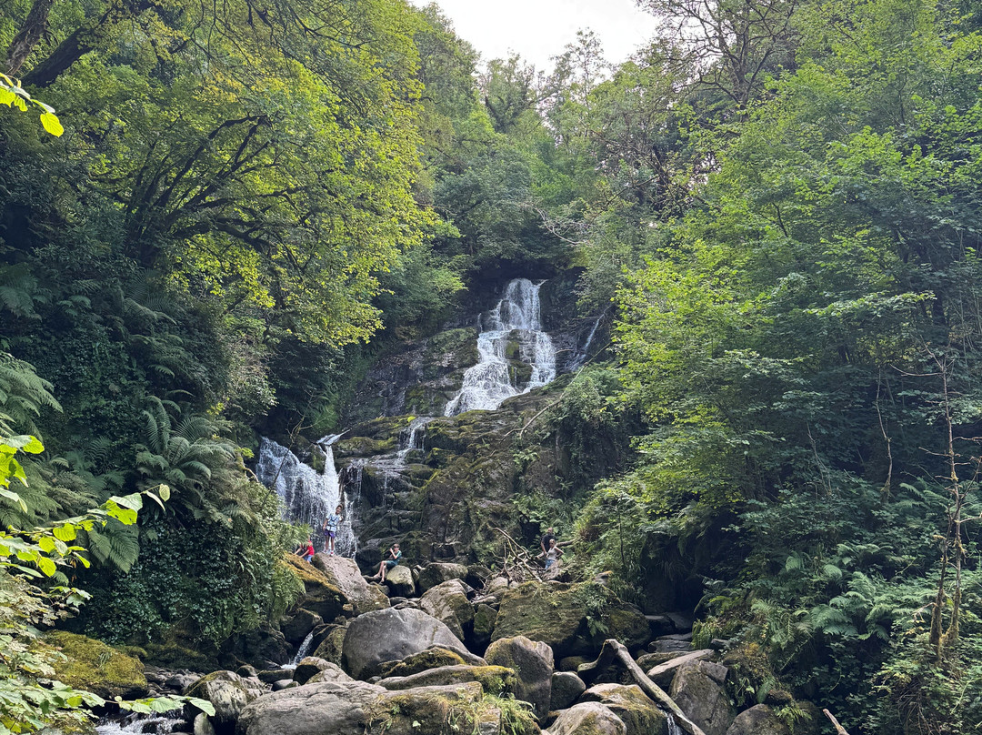 Love Irish Tours-都柏林必去景点