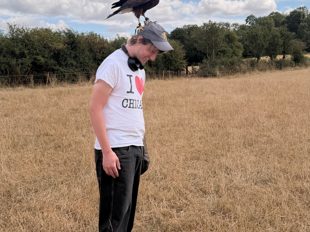 The Bird Of Prey Project-巴斯必去景点