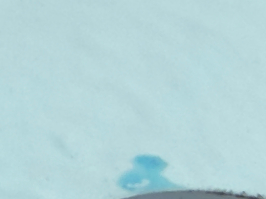 Kluane Glacier Air Tours-海恩斯章克申必去景点