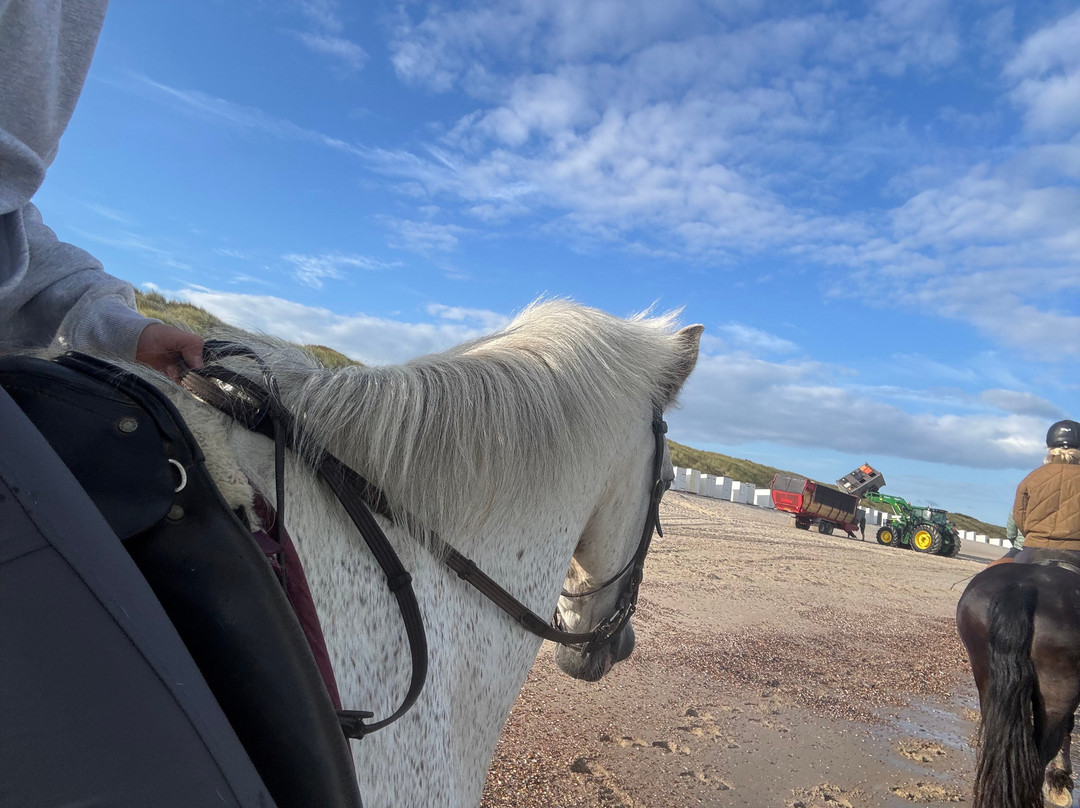Manege Duno