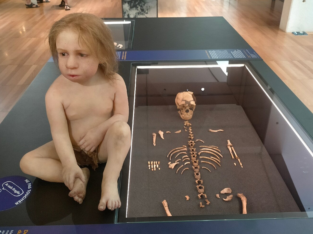 Musee National de Prehistoire-Les Eyzies-de-Tayac-Sireuil必去景点
