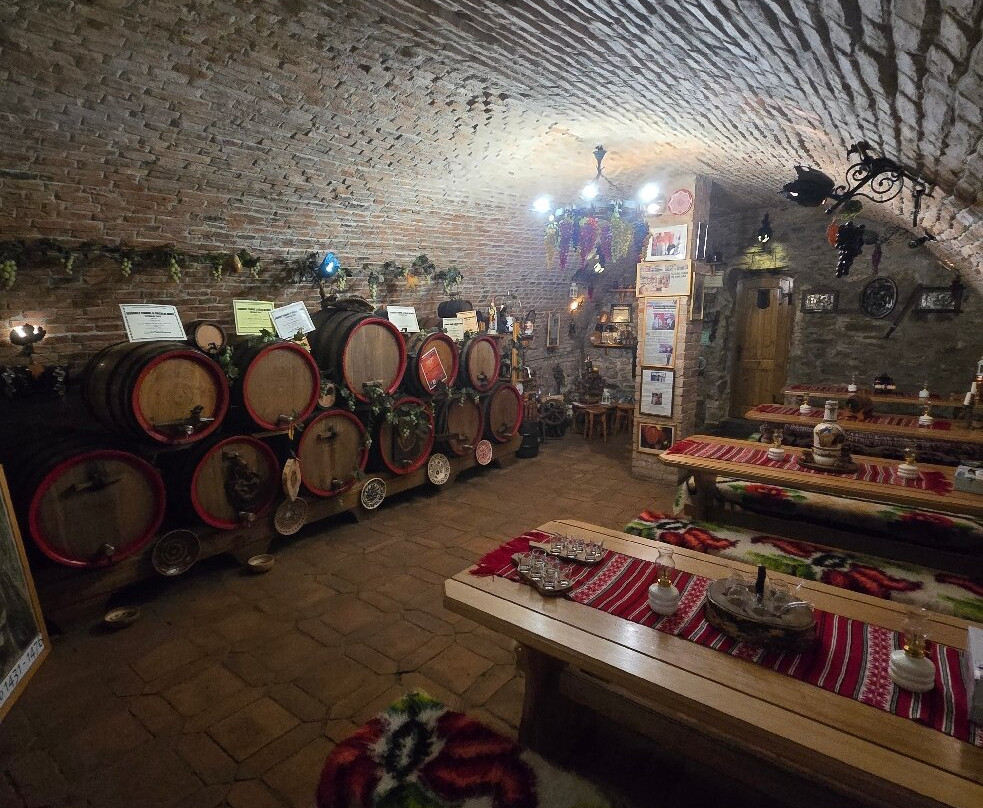 Pivnita lui Teo - Teo's Cellar-锡吉索拉必去景点