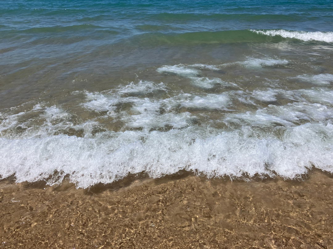 Esch Beach-Honor必去景点
