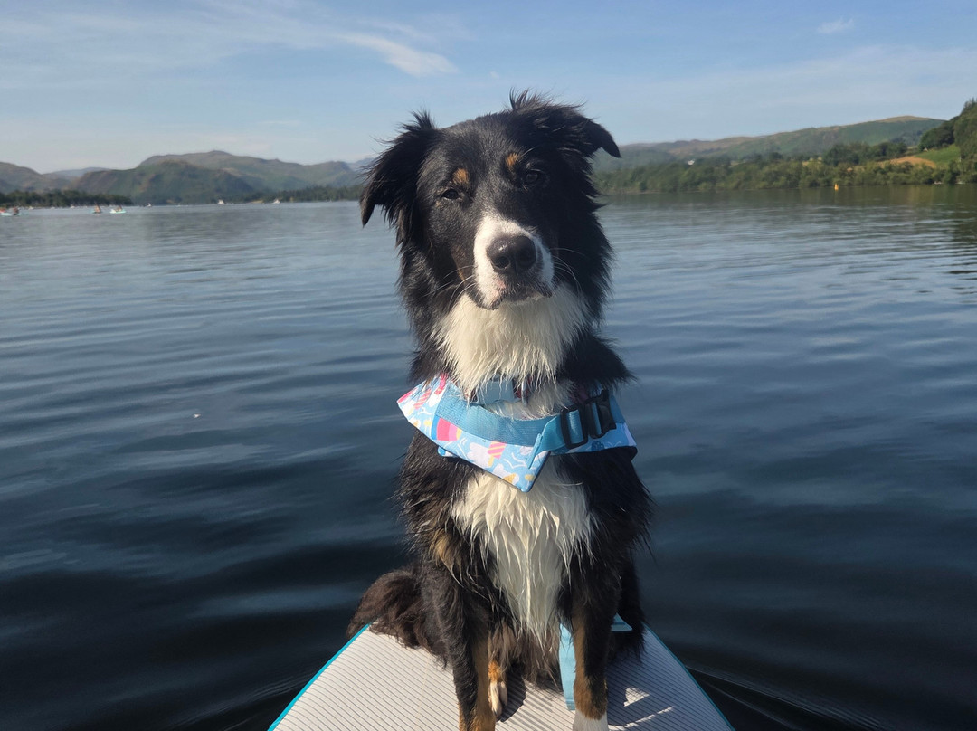 Ullswater Wake and Surf-Watermillock必去景点