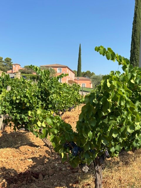 Domaine Rabiega ****-Draguignan必去景点
