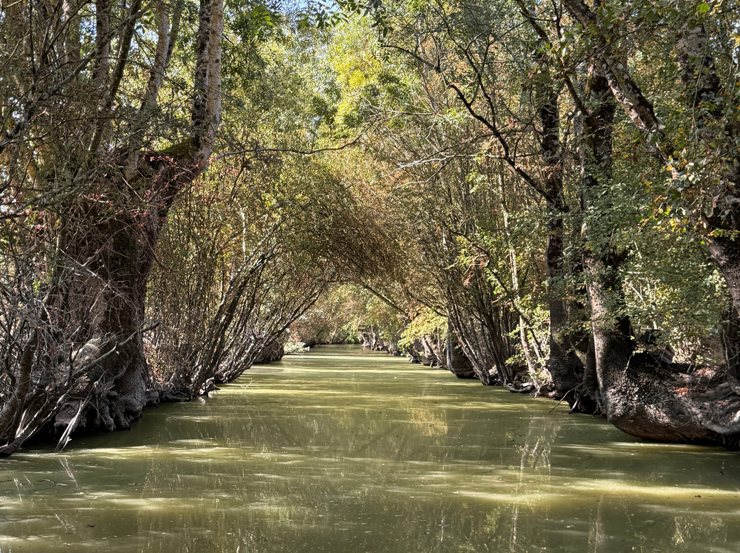 Embarcadère Port de Montfaucon-Saint-Hilaire-la-Palud必去景点