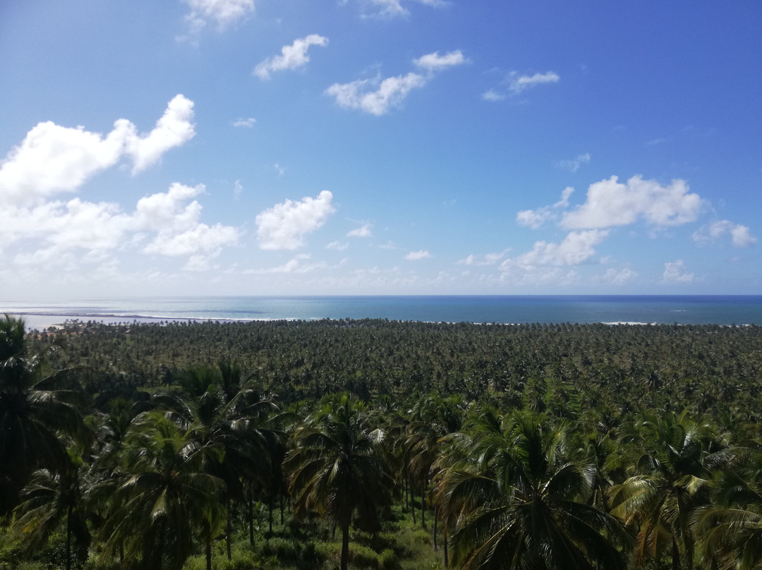 Mirante do Gunga-Roteiro必去景点