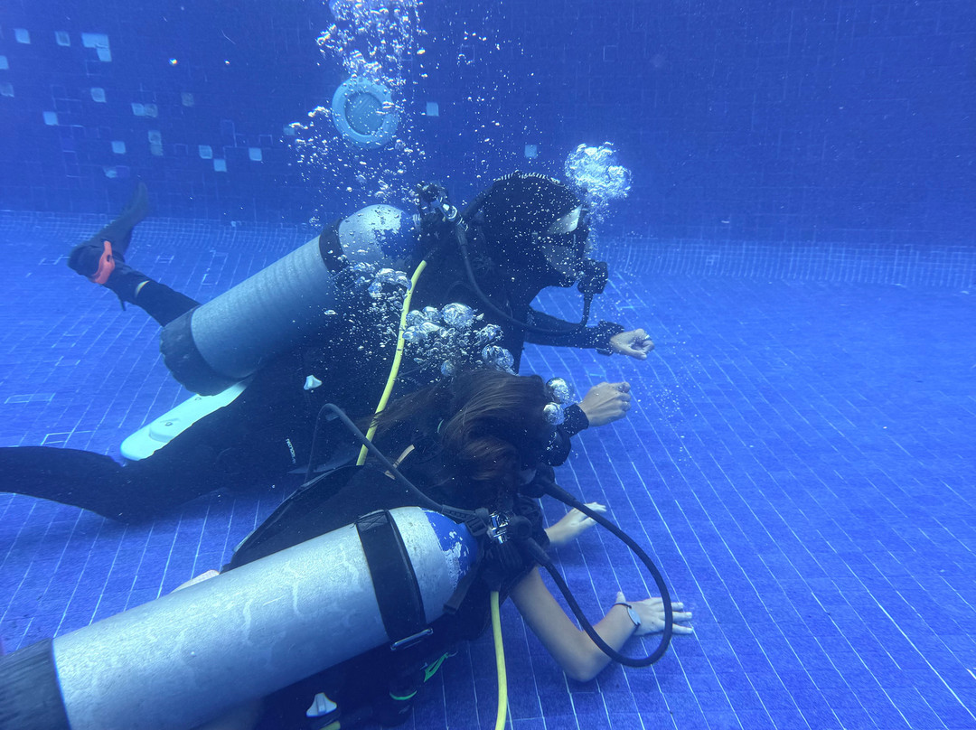 Dressel Divers Playa Del Carmen-普拉亚德尔卡曼必去景点