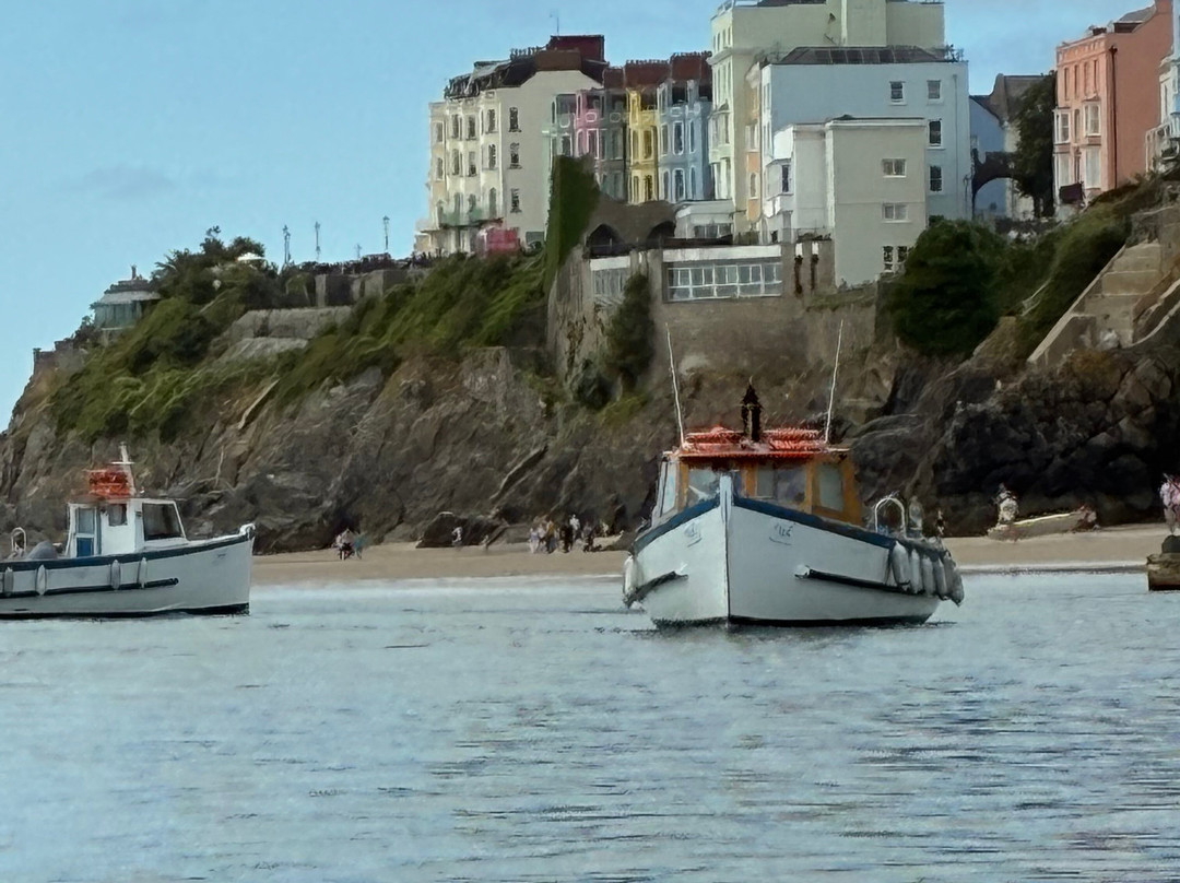 Saundersfoot Sea Safari-桑德斯富特必去景点
