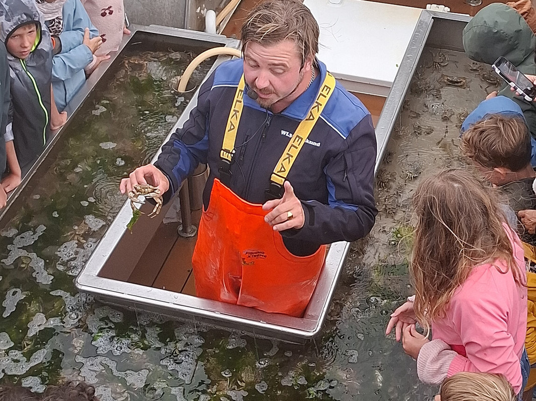 Expeditie Waddenzee-Ballum必去景点
