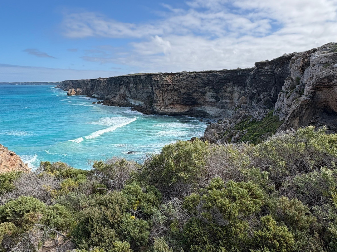 Head of Bight-Ceduna必去景点