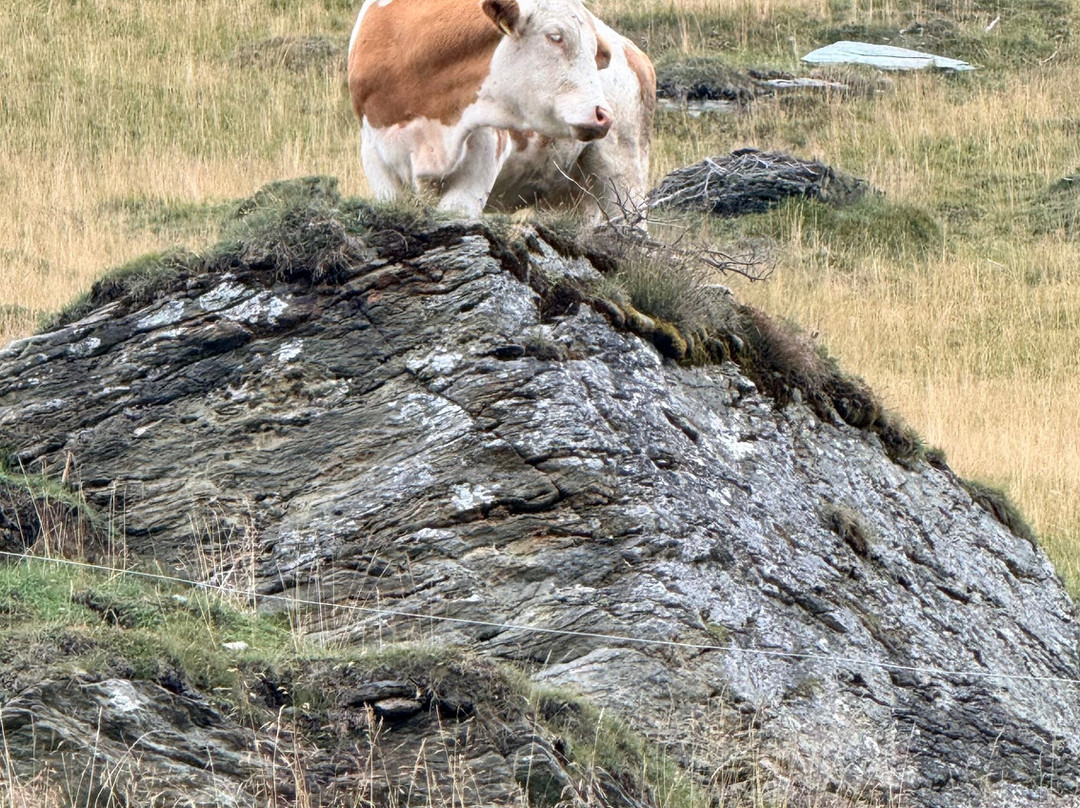 Nationalpark Hohe Tauern-林兹必去景点