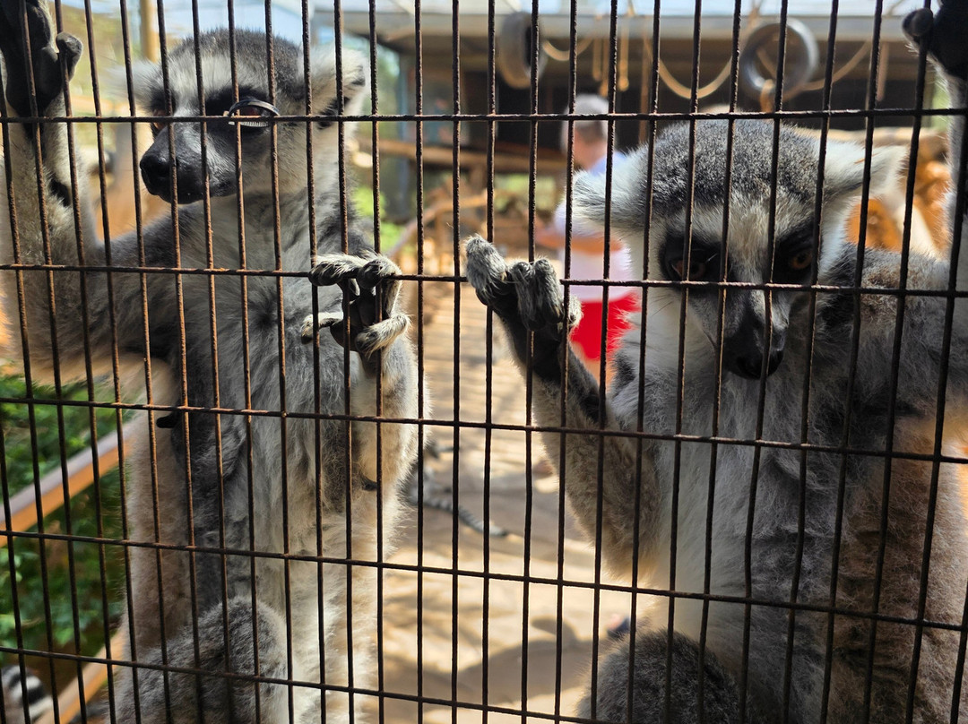 Pafos Zoo-帕福斯必去景点