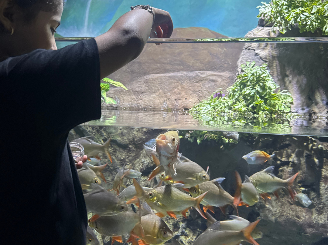 Marassi Aquarium & Underwater Zoo-Diyar Al Muharraq必去景点