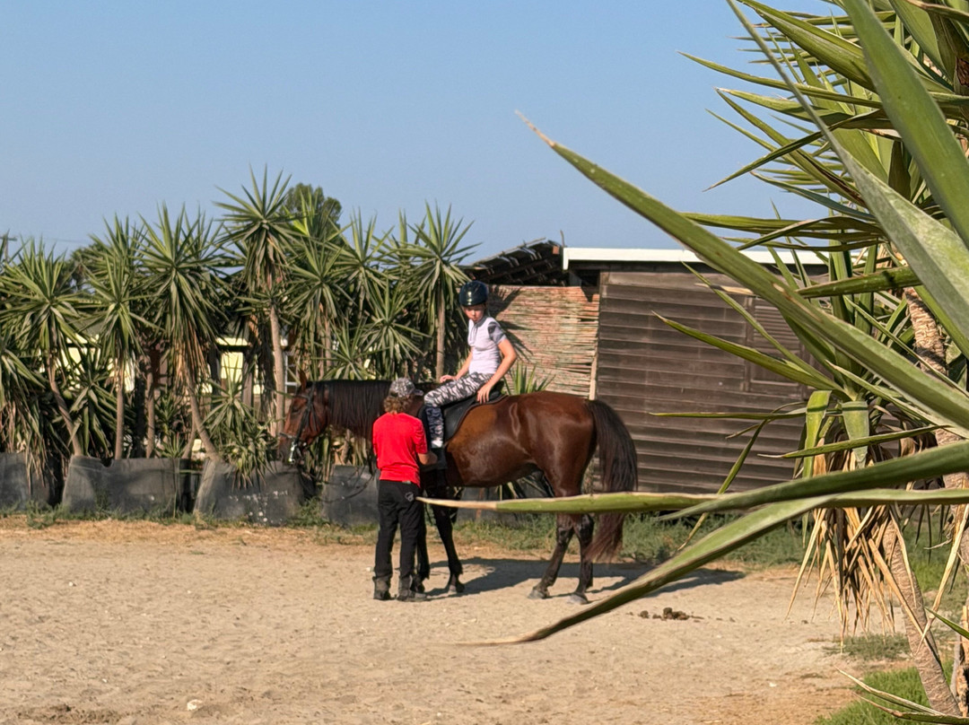 Salt Lake Stables-Marmari必去景点