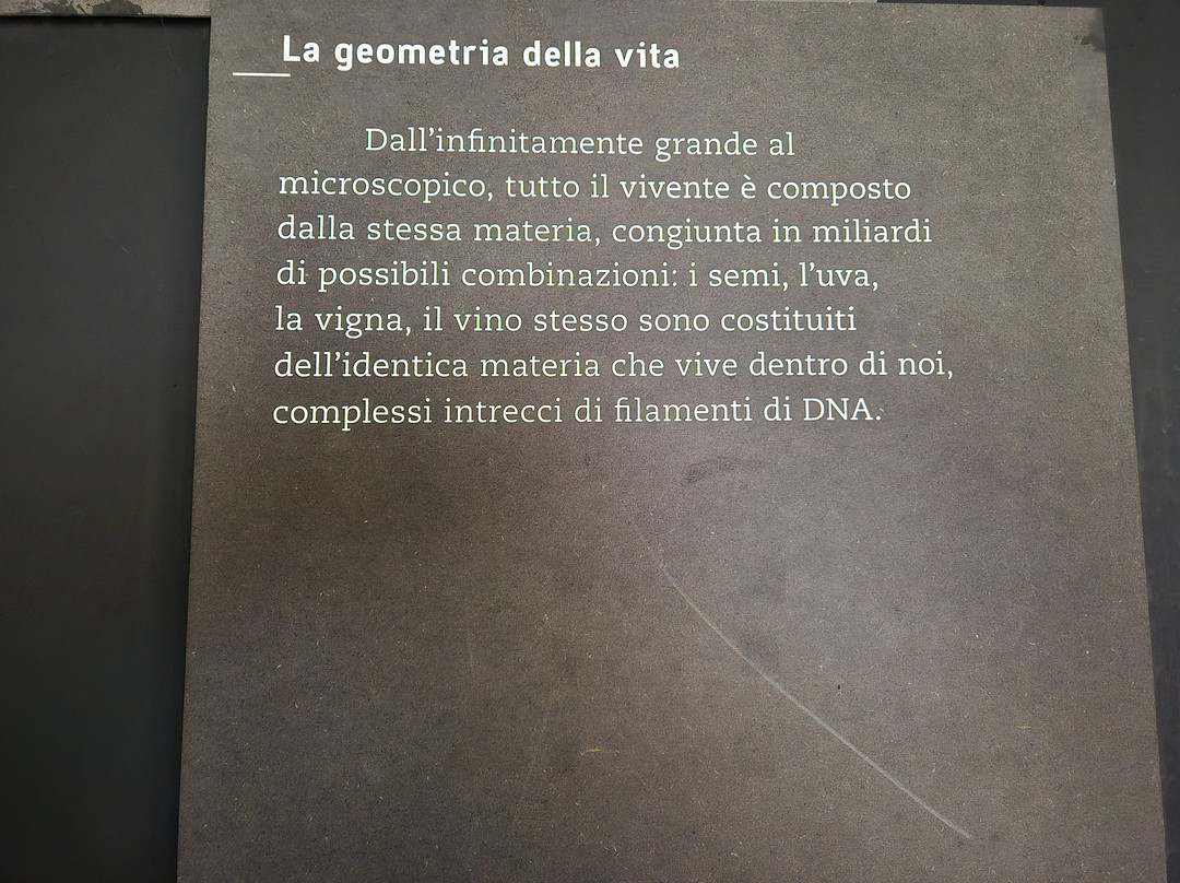 WiMu - Museo del Vino a Barolo-巴罗洛必去景点