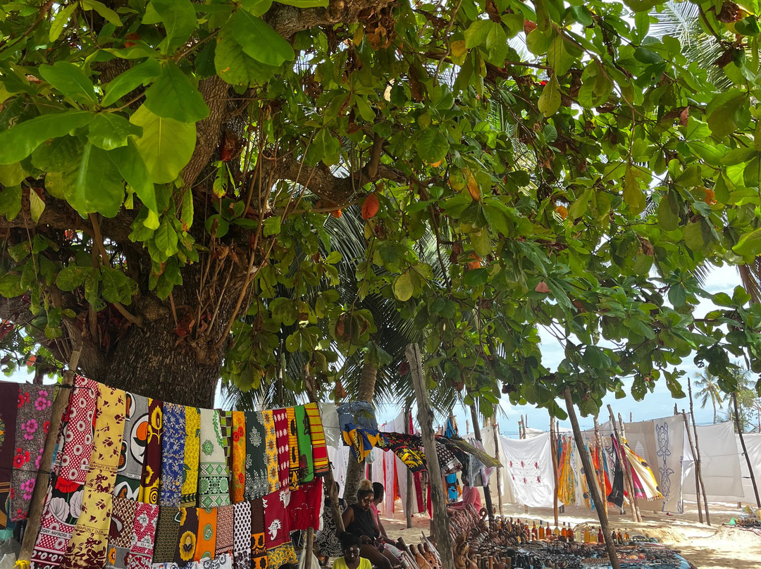 Madagascar Tour Severino-Dzamandzar必去景点