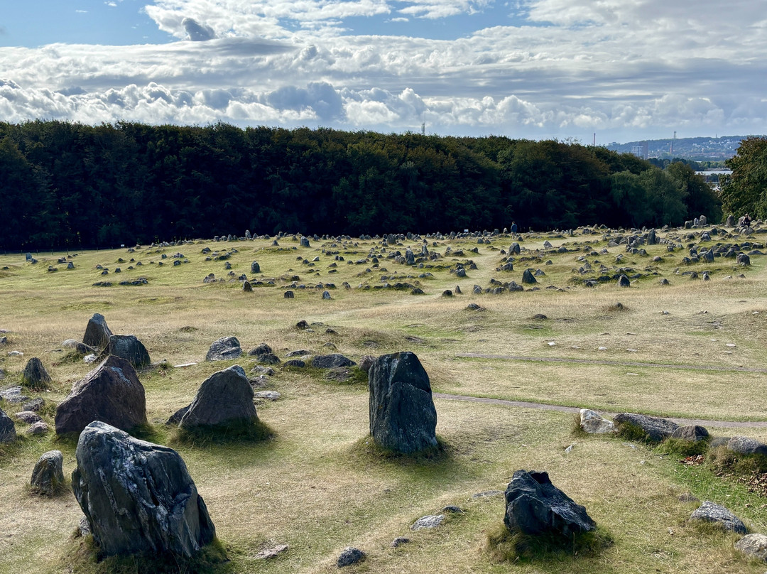 Vikingemuseet Lindholm Høje-Noerresundby必去景点