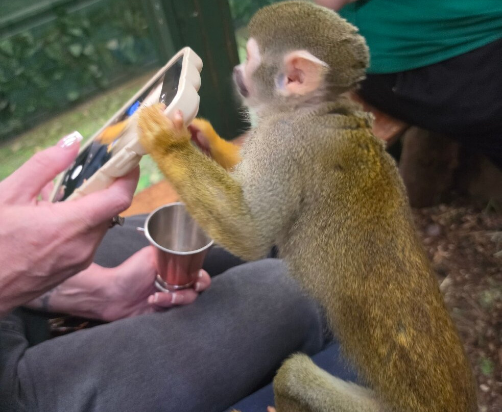 Get to Know Animals CIC-Chingford必去景点