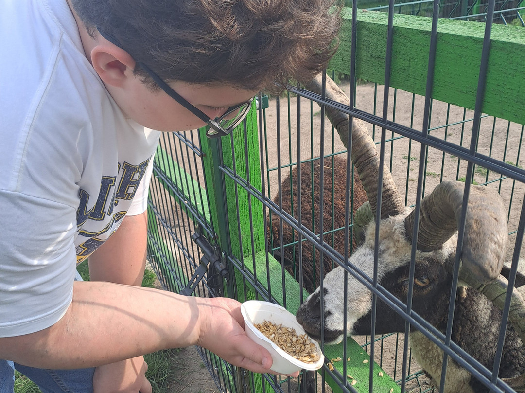 Mazurskie Mini-zoo-Gizycko必去景点