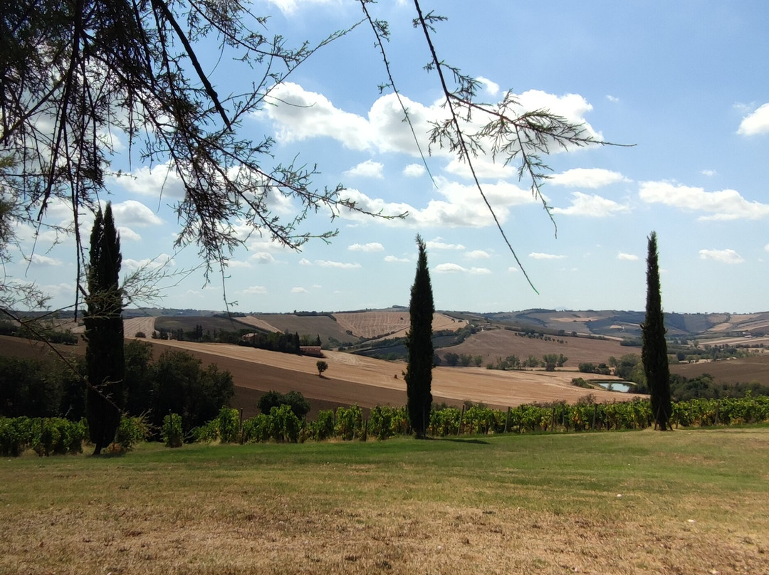 Azienda Agraria Guerrieri-Piagge必去景点