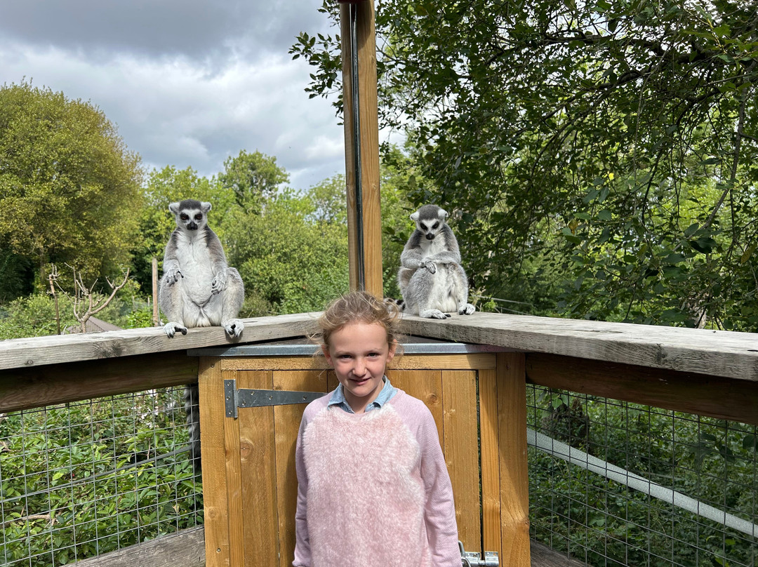 Dudley Zoo and Castle-Dudley必去景点