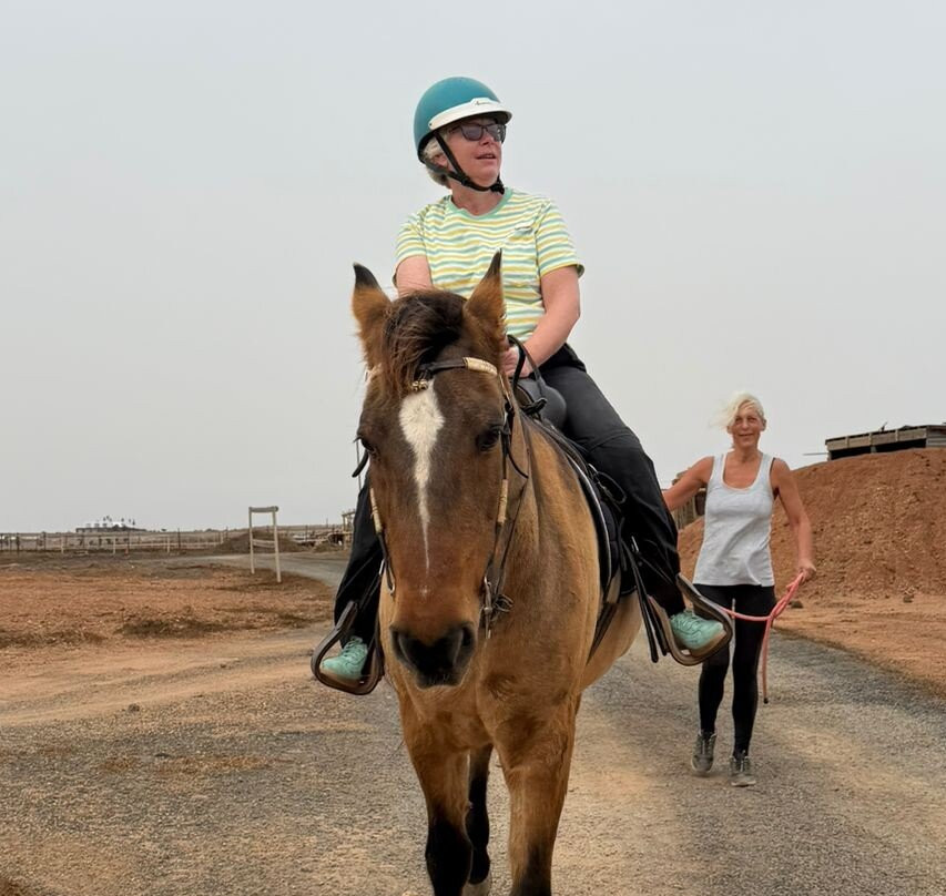 Horses Lanzarote-Teseguite必去景点
