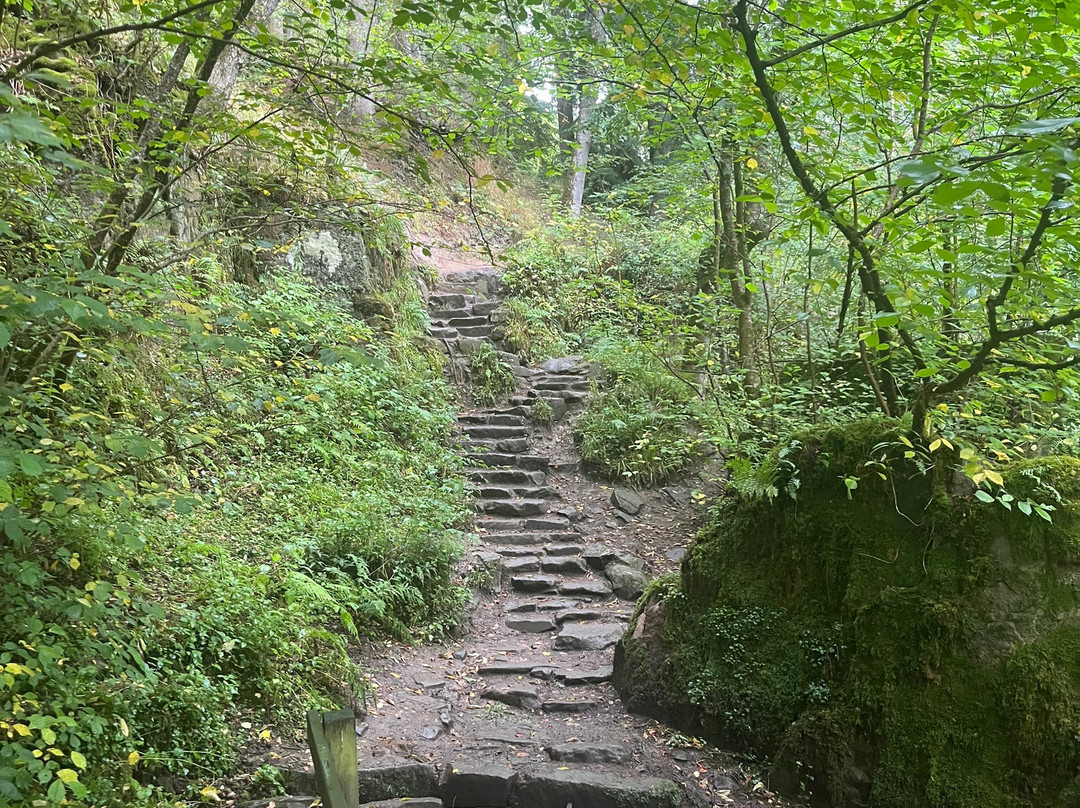 Hareshaw Linn Walk-Bellingham必去景点