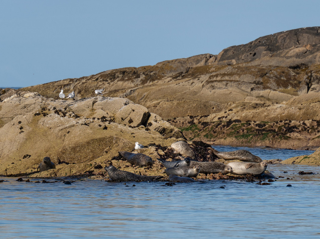 Seafari Adventures (Oban)-Ellenabeich必去景点