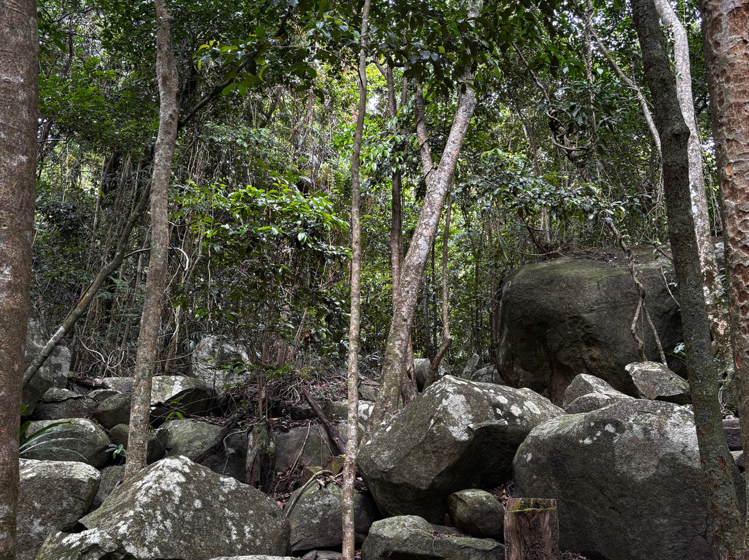 Fitzroy Island National Park-菲茨罗伊岛必去景点
