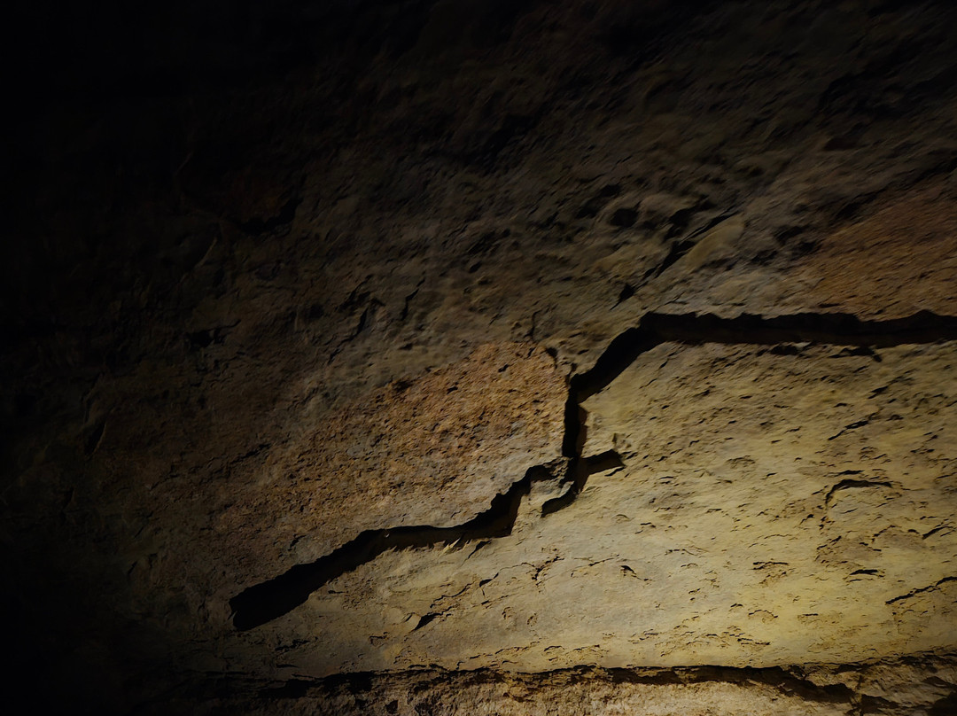 Indiana Caverns-Corydon必去景点