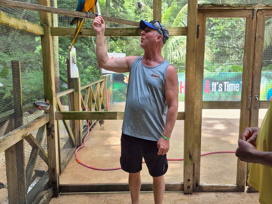 Harrison's Cave Eco-Adventure Park-Saint Thomas Parish必去景点