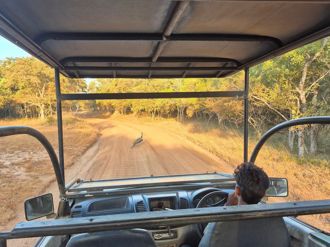 Thamaravila Wilpattu Luxury Tented Safari Villas主图