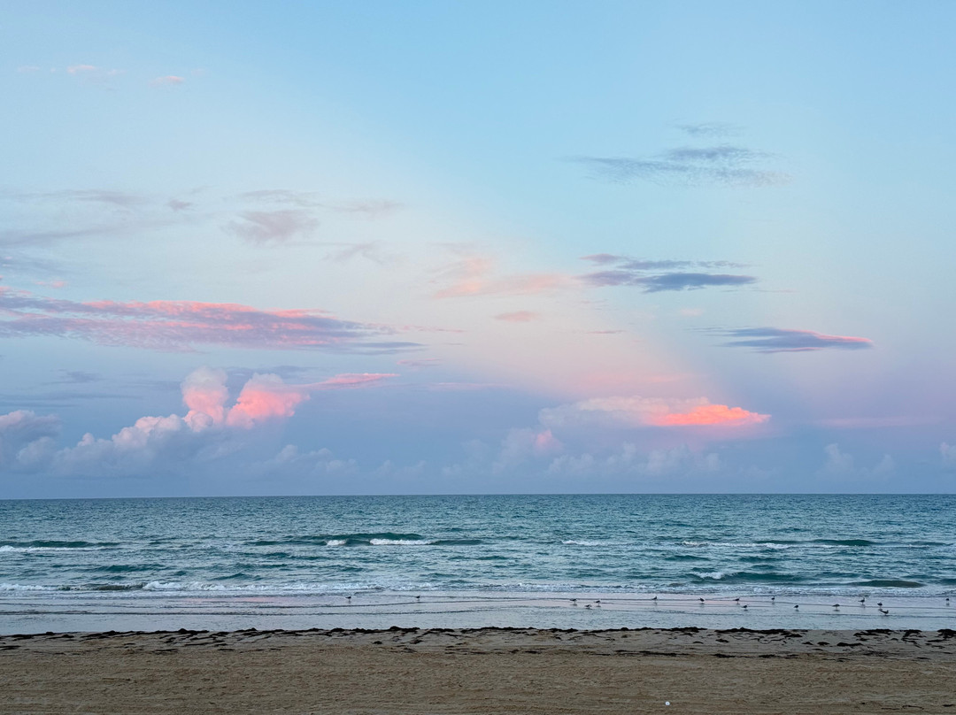 南帕诸岛海滩拉昆塔温德姆套房酒店(South Padre Island Beach)主图