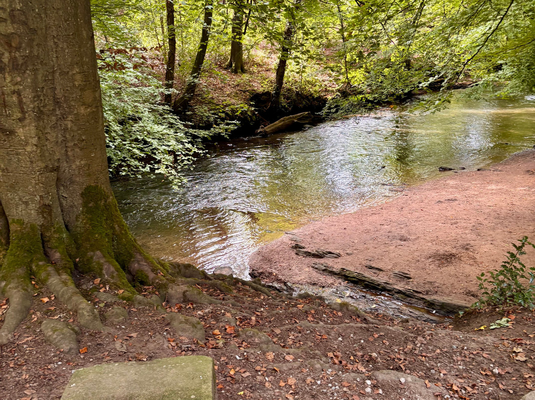 National Trust - Quarry Bank-威姆斯洛必去景点