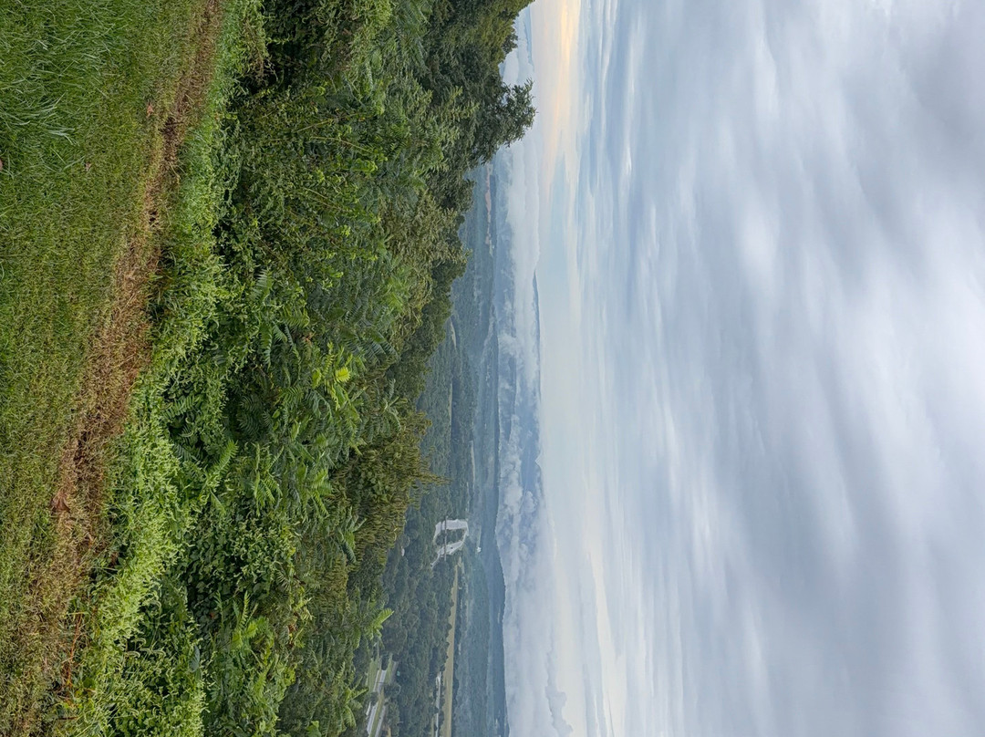 Town Hill Bed and Breakfast主图