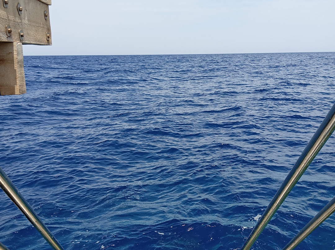 ORCA Dive Club Soma Bay-索马湾必去景点