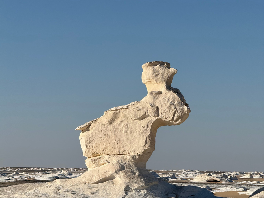 Egypt Camp White Desert-Bawiti必去景点