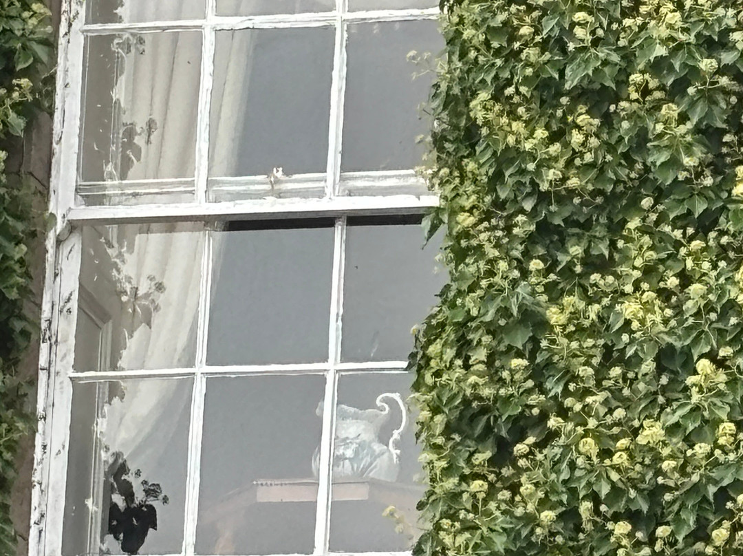 Horetown House主图