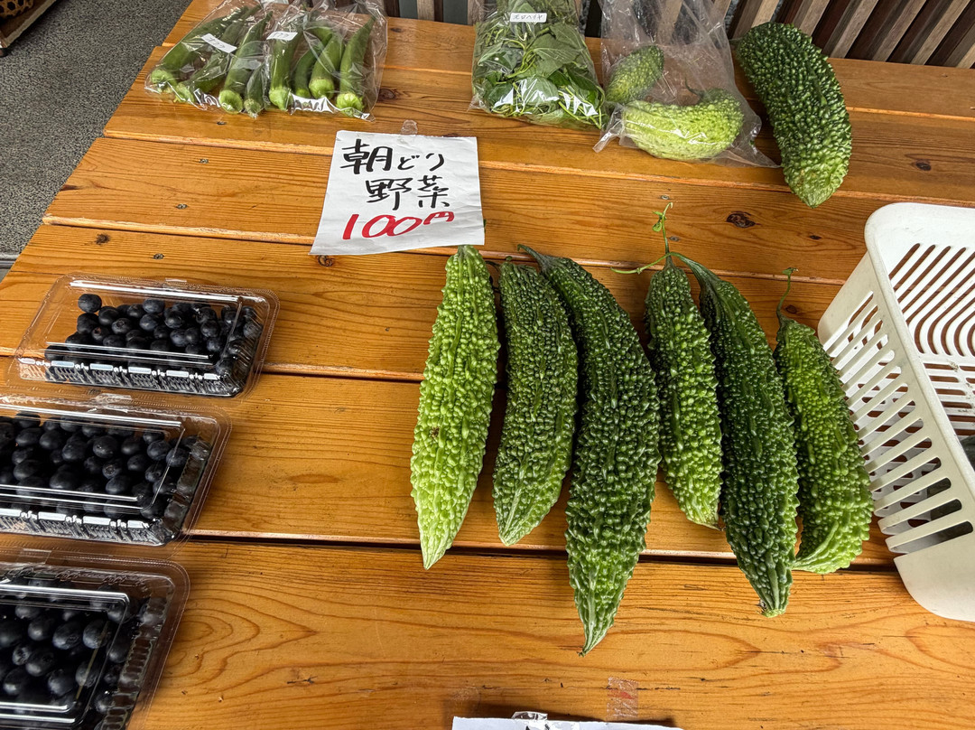 Michi-no-EKi Otoginosato-川根本町必去景点