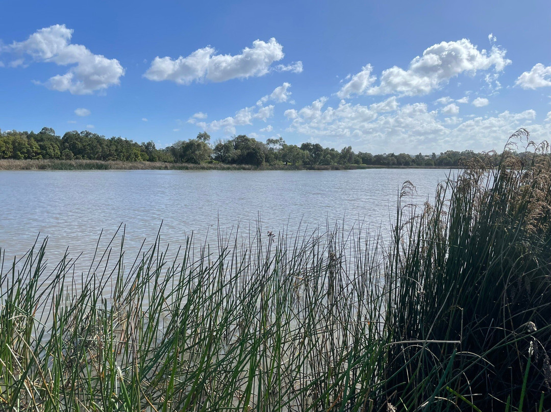 Berwick Springs Wetlands Reserve-伯威克必去景点